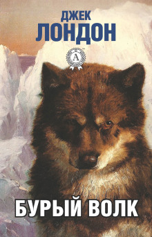 Бурый Волк - Джек Лондон - Аудиокниги - слушать онлайн бесплатно без регистрации | Knigi-Audio.com