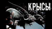 Крысы - Даниил Азаров - Аудиокниги - слушать онлайн бесплатно без регистрации | Knigi-Audio.com