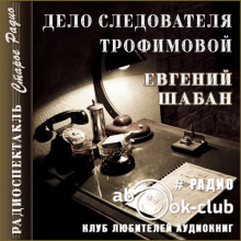 Дело следователя Трофимовой - Евгений Шабан - Аудиокниги - слушать онлайн бесплатно без регистрации | Knigi-Audio.com