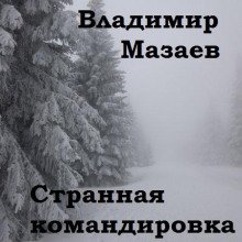 Странная командировка - Владимир Мазаев - Аудиокниги - слушать онлайн бесплатно без регистрации | Knigi-Audio.com
