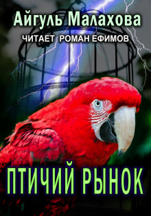 Птичий рынок - Айгуль Малахова - Аудиокниги - слушать онлайн бесплатно без регистрации | Knigi-Audio.com