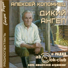 Дикий Ангел - Алексей Коломиец - Аудиокниги - слушать онлайн бесплатно без регистрации | Knigi-Audio.com