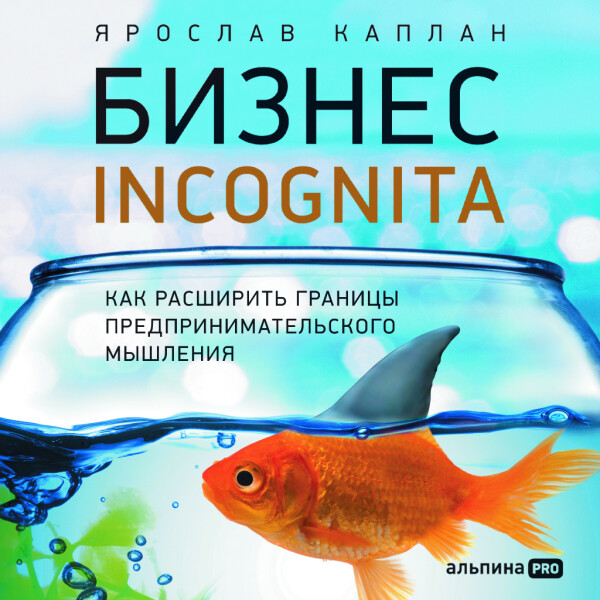 Бизнес incognita: Как расширить границы предпринимательского мышления - Ярослав Каплан