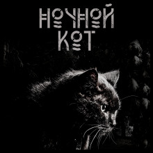 Ночной кот - Сергей Стэн - Аудиокниги - слушать онлайн бесплатно без регистрации | Knigi-Audio.com