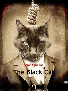 Черный кот - Эдгар Аллан По - Аудиокниги - слушать онлайн бесплатно без регистрации | Knigi-Audio.com