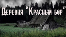 Деревня «Красный бор» - Юлия Скоркина - Аудиокниги - слушать онлайн бесплатно без регистрации | Knigi-Audio.com