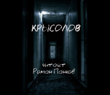 Крысолов - Александр Грин - Аудиокниги - слушать онлайн бесплатно без регистрации | Knigi-Audio.com