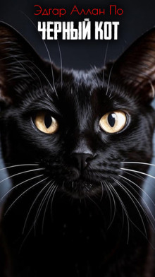 Чёрный кот - Эдгар Аллан По - Аудиокниги - слушать онлайн бесплатно без регистрации | Knigi-Audio.com