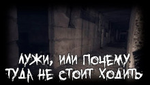 Лужи, или почему туда не стоит ходить -                   Lewmarna - Аудиокниги - слушать онлайн бесплатно без регистрации | Knigi-Audio.com