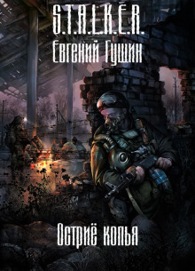 S.T.A.L.K.E.R. Острие копья - Евгений Гущин - Аудиокниги - слушать онлайн бесплатно без регистрации | Knigi-Audio.com