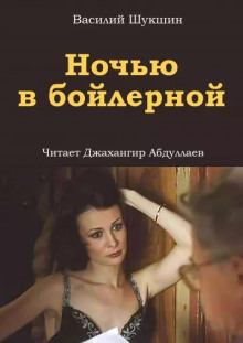 Ночью в бойлерной - Василий Шукшин - Аудиокниги - слушать онлайн бесплатно без регистрации | Knigi-Audio.com