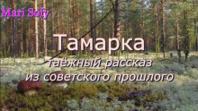 Тамарка -                   Юрий Насыбуллин