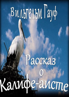 История о Калифе-Аисте - Вильгельм Гауф - Аудиокниги - слушать онлайн бесплатно без регистрации | Knigi-Audio.com