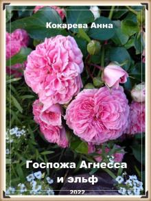 Госпожа Агнесса и эльф -                   Анна Кокарева - Аудиокниги - слушать онлайн бесплатно без регистрации | Knigi-Audio.com