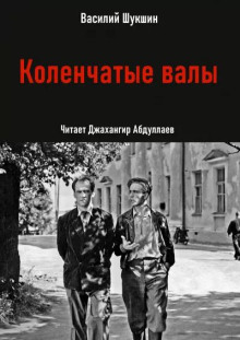 Коленчатые валы - Василий Шукшин - Аудиокниги - слушать онлайн бесплатно без регистрации | Knigi-Audio.com