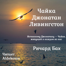 Чайка по имени Джонатан Ливингстон - Ричард Бах - Аудиокниги - слушать онлайн бесплатно без регистрации | Knigi-Audio.com