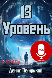 13 уровень -                   Денис Петриков - Аудиокниги - слушать онлайн бесплатно без регистрации | Knigi-Audio.com