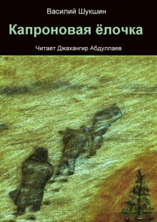 Капроновая ёлочка - Василий Шукшин - Аудиокниги - слушать онлайн бесплатно без регистрации | Knigi-Audio.com