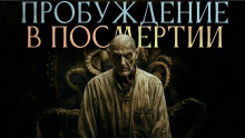Пробуждение в посмертии - Зенон Тезарх - Аудиокниги - слушать онлайн бесплатно без регистрации | Knigi-Audio.com