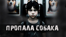 Пропала собака! - Александр Радченко - Аудиокниги - слушать онлайн бесплатно без регистрации | Knigi-Audio.com