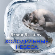 Холодильные небеса - Дэвид Дж. Шоу - Аудиокниги - слушать онлайн бесплатно без регистрации | Knigi-Audio.com
