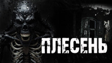 Плесень - Александр Радченко - Аудиокниги - слушать онлайн бесплатно без регистрации | Knigi-Audio.com