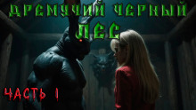 Дремучий Чёрный Лес - Андрей Кунгурцев - Аудиокниги - слушать онлайн бесплатно без регистрации | Knigi-Audio.com