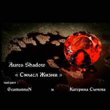 Смысл жизни - Aures Shadow - Аудиокниги - слушать онлайн бесплатно без регистрации | Knigi-Audio.com