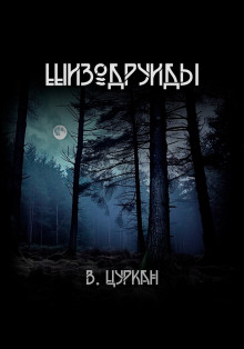 Шизодруиды - Валерий Цуркан - Аудиокниги - слушать онлайн бесплатно без регистрации | Knigi-Audio.com