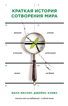 Краткая история сотворения мира. Великие ученые в поисках источника жизни на Земле - Билл Меслер - Аудиокниги - слушать онлайн бесплатно без регистрации | Knigi-Audio.com