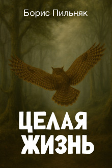 Целая жизнь - Борис Пильняк - Аудиокниги - слушать онлайн бесплатно без регистрации | Knigi-Audio.com