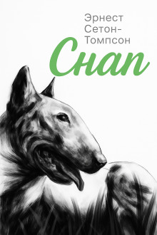 Снап - Эрнест Сетон-Томпсон - Аудиокниги - слушать онлайн бесплатно без регистрации | Knigi-Audio.com