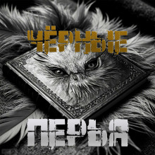 Чёрные перья - Артём Артёмов - Аудиокниги - слушать онлайн бесплатно без регистрации | Knigi-Audio.com