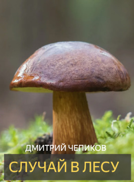 Случай в лесу - Дмитрий Чепиков - Аудиокниги - слушать онлайн бесплатно без регистрации | Knigi-Audio.com