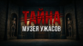 Галстук Вудро Вильсона - Патриция Хайсмит - Аудиокниги - слушать онлайн бесплатно без регистрации | Knigi-Audio.com