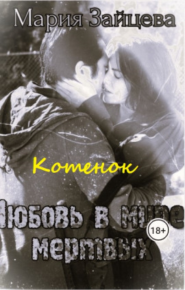 Котёнок - Мария Зайцева - Аудиокниги - слушать онлайн бесплатно без регистрации | Knigi-Audio.com