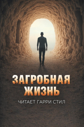 Загробная жизнь - Стивен Кинг - Аудиокниги - слушать онлайн бесплатно без регистрации | Knigi-Audio.com