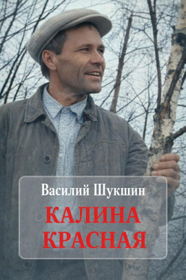 Калина красная - Василий Шукшин - Аудиокниги - слушать онлайн бесплатно без регистрации | Knigi-Audio.com