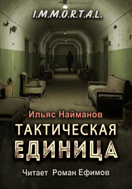 Тактическая единица - Ильяс Найманов - Аудиокниги - слушать онлайн бесплатно без регистрации | Knigi-Audio.com