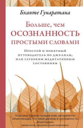 Больше, чем осознанность простыми словами. Простой и понятный путеводитель по джханам, или глубоким медитативным состояниям - Бханте Хенепола Гунаратана - Аудиокниги - слушать онлайн бесплатно без регистрации | Knigi-Audio.com