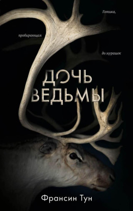 Дочь ведьмы - Тун Франсин - Аудиокниги - слушать онлайн бесплатно без регистрации | Knigi-Audio.com