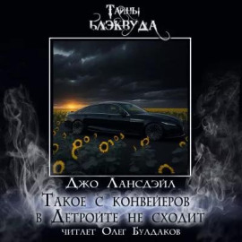 Такое с конвейеров в Детройте не сходит - Джо Р. Лансдейл - Аудиокниги - слушать онлайн бесплатно без регистрации | Knigi-Audio.com