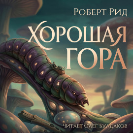 Хорошая гора - Роберт Рид - Аудиокниги - слушать онлайн бесплатно без регистрации | Knigi-Audio.com