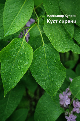 Куст сирени - Александр Куприн - Аудиокниги - слушать онлайн бесплатно без регистрации | Knigi-Audio.com