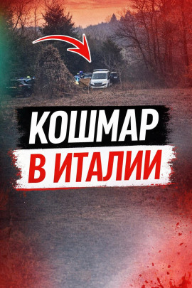 Чемодан среди леса - Автор неизвестен - Аудиокниги - слушать онлайн бесплатно без регистрации | Knigi-Audio.com