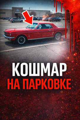 34 года поиска - Автор неизвестен - Аудиокниги - слушать онлайн бесплатно без регистрации | Knigi-Audio.com