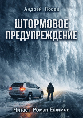 Штормовое предупреждение - Андрей Лосев - Аудиокниги - слушать онлайн бесплатно без регистрации | Knigi-Audio.com