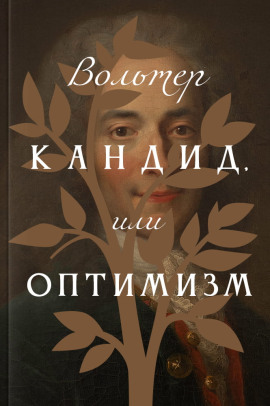 Кандид, или Оптимизм - Вольтер - Аудиокниги - слушать онлайн бесплатно без регистрации | Knigi-Audio.com